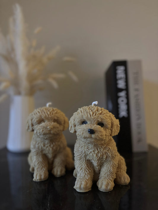 Poodle Kerze