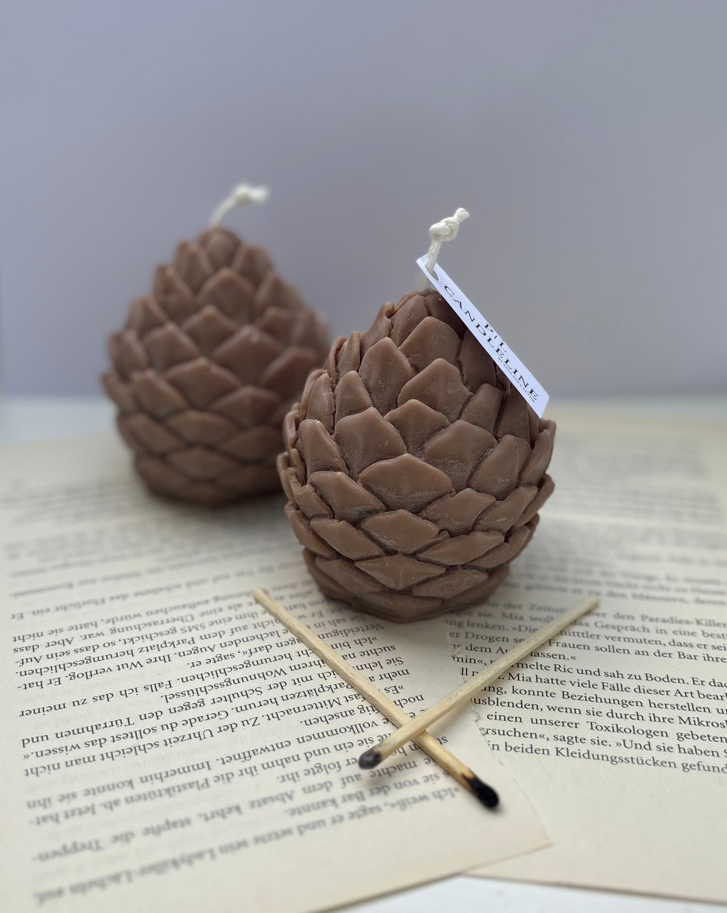 Pine Cone Kerze Braun