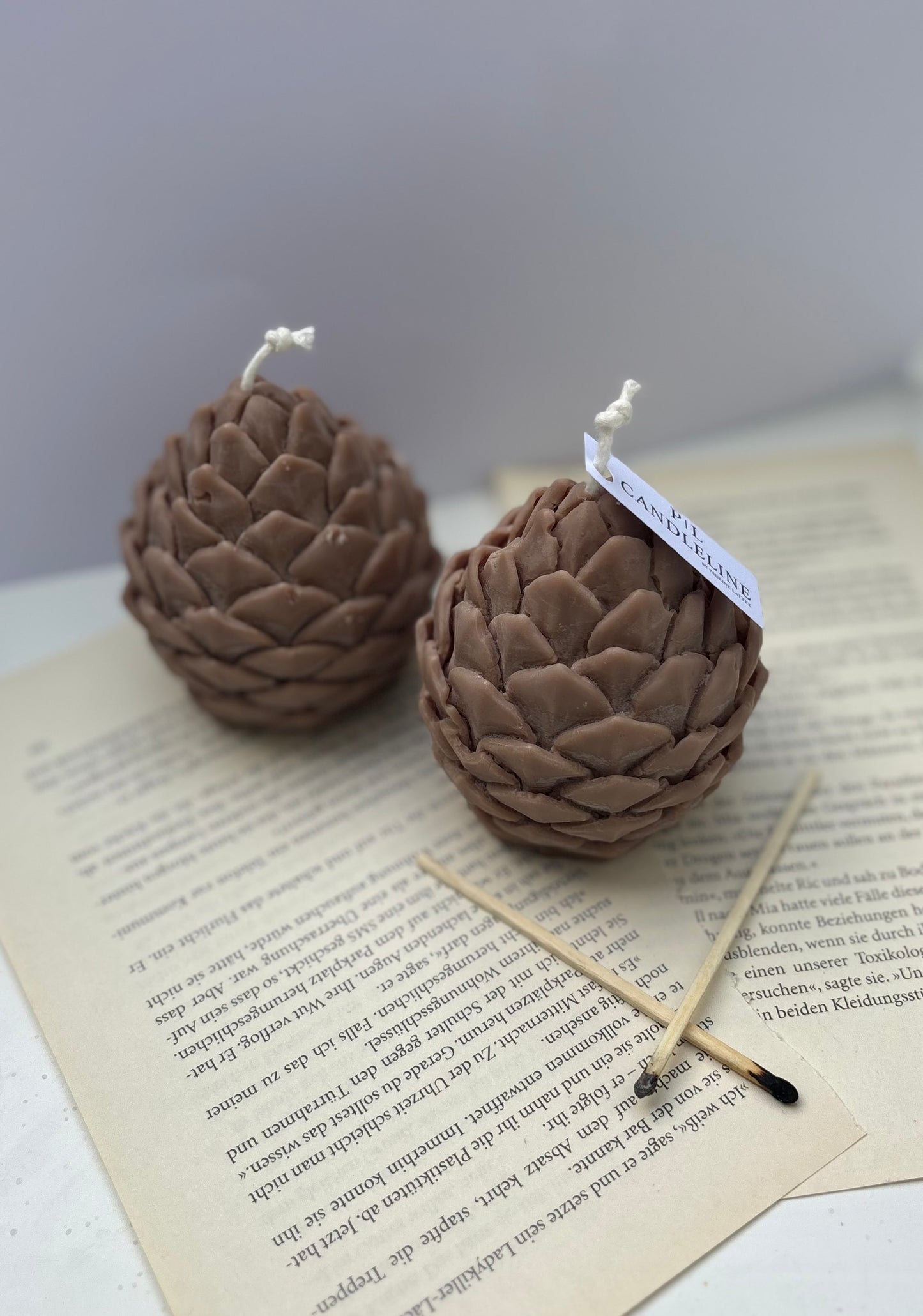 Pine Cone Kerze Braun