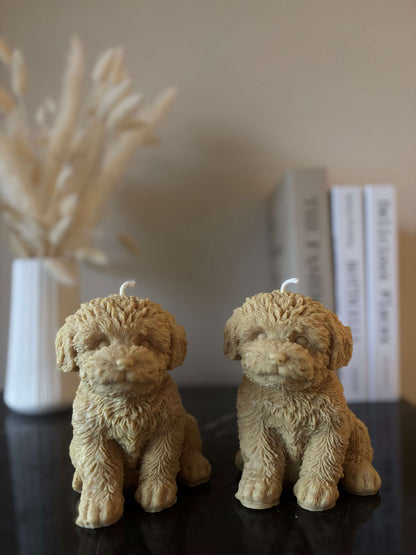 Poodle Kerze