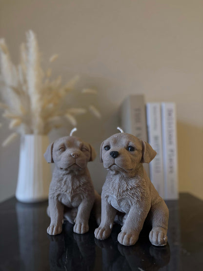 Labrador Kerze
